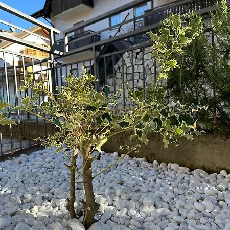 Casa Vacanza La Croseta Trento Esterno foto