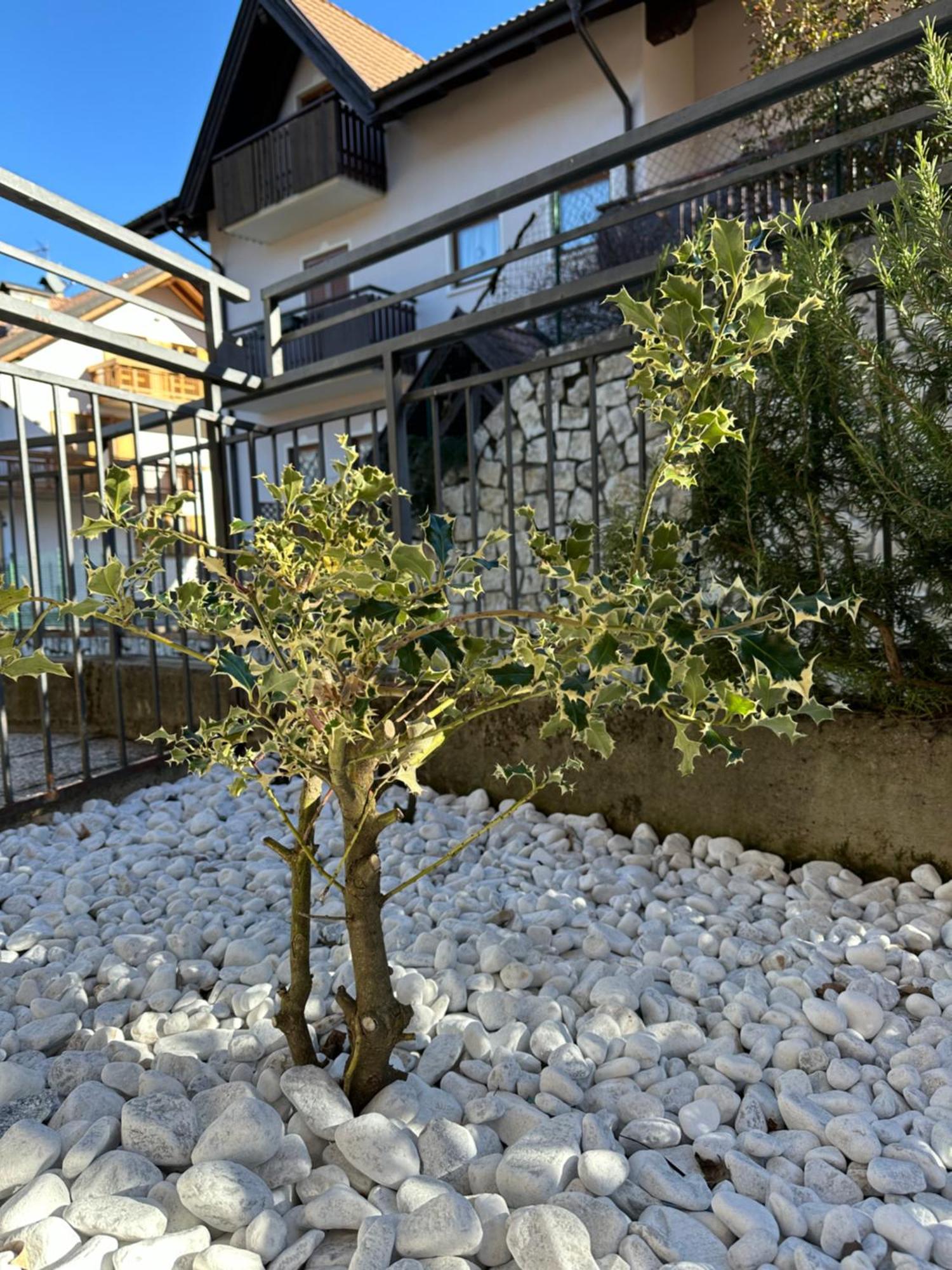 Casa La Croseta Apartment Trient